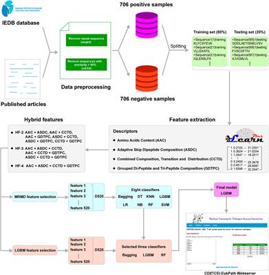 CD8TCEI-EukPath: A Novel Predictor to Rapidly Identify CD8+ T-Cell Epitopes of Eukaryotic Pathogens Using a Hybrid Feature Selection Approach